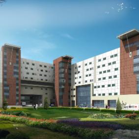 The American Cancer Institute - India